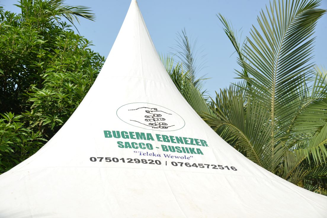 Tents for Hire